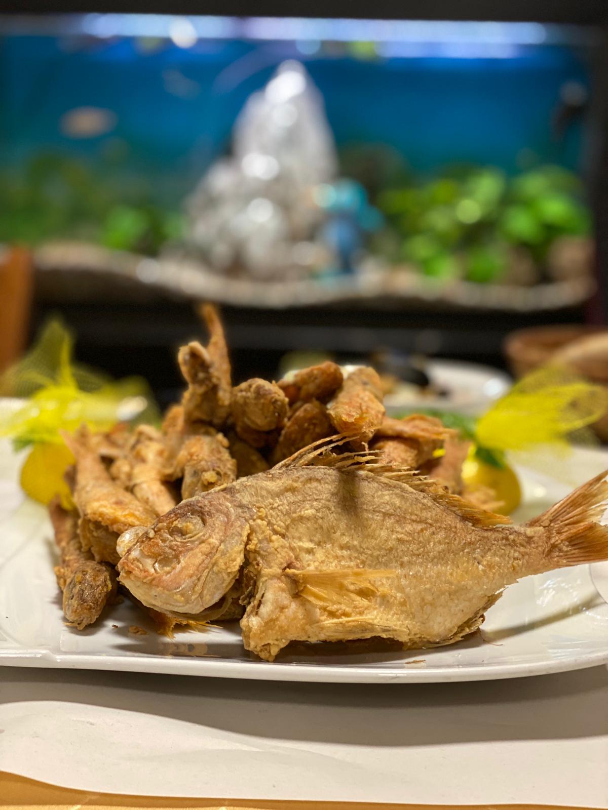 WhatsApp Image 2020-12-15 at 2.46.06 PM.jpeg.jpeg